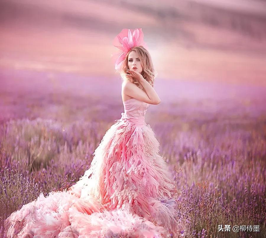 拍摄熏衣草的摄影技巧,薰衣草摄影教程