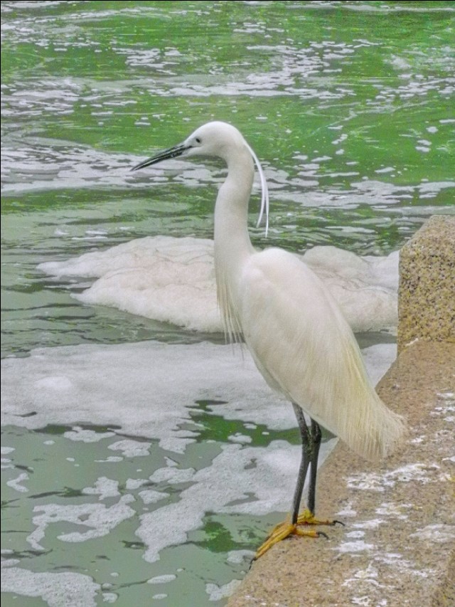 厦门筼筜书院视频,厦门筼筜书院介绍