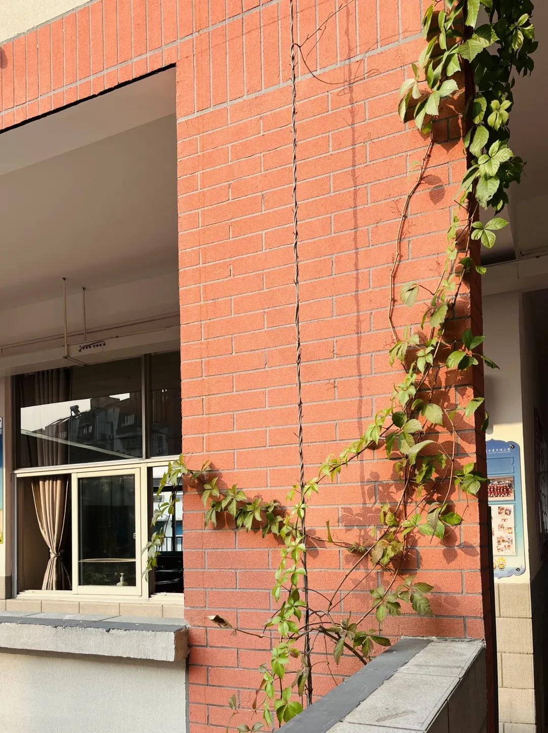 最美的风景美丽的校园,最美的风景就是校园