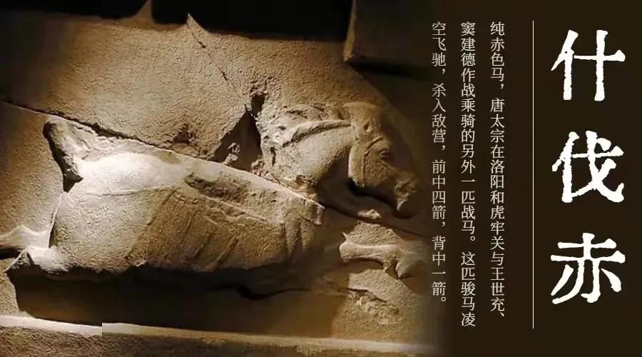 脑洞大开方言购物,脑洞大开的车有哪几种