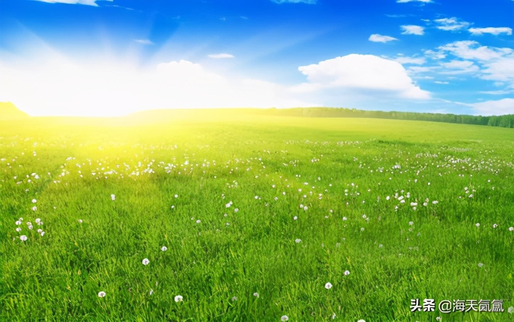 闽南小土炉,烧驴粪的小土炉