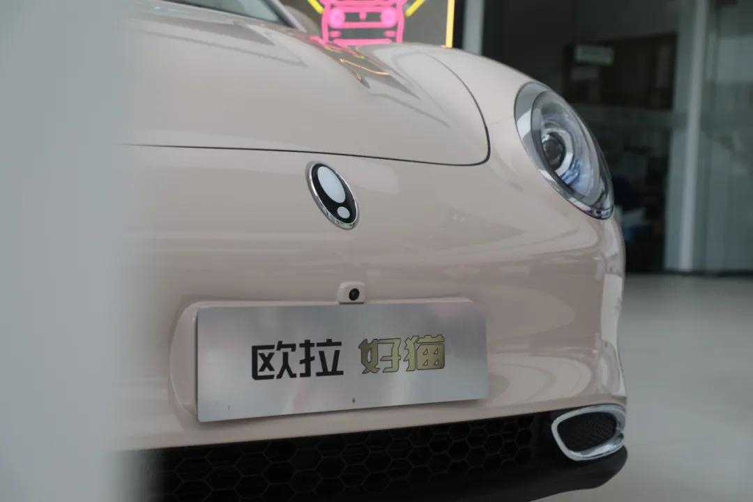 “七夕节”快到了送啥玫瑰不如送“欧拉好猫”吧