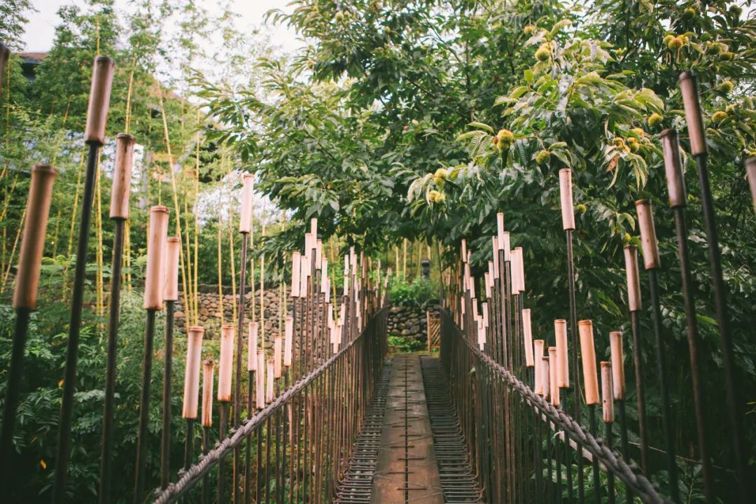 巴厘岛绿野仙踪,巴厘岛住进星空顶梦幻蘑菇屋