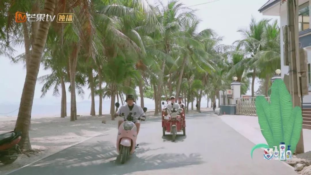 《哈哈农夫》西岛站:王源、杨超越、贾乃亮、金瀚说出明星的烦恼