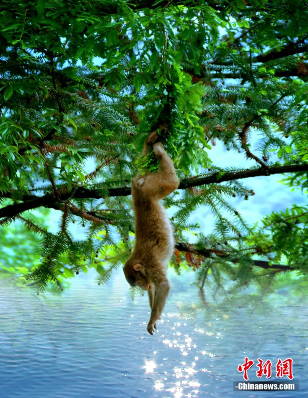 武夷山为啥名气不大,武夷山还好吗