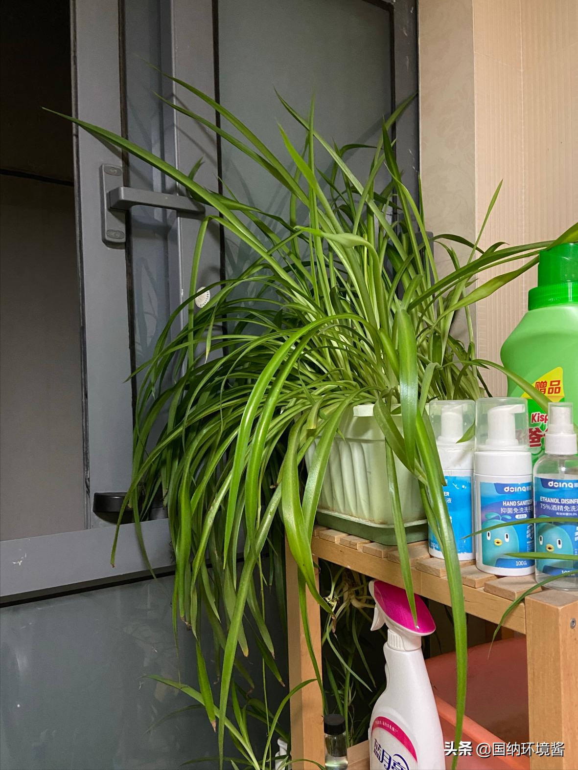 室内空气净化最佳长效除甲醛方案,室内空气净化甲醛治理方案