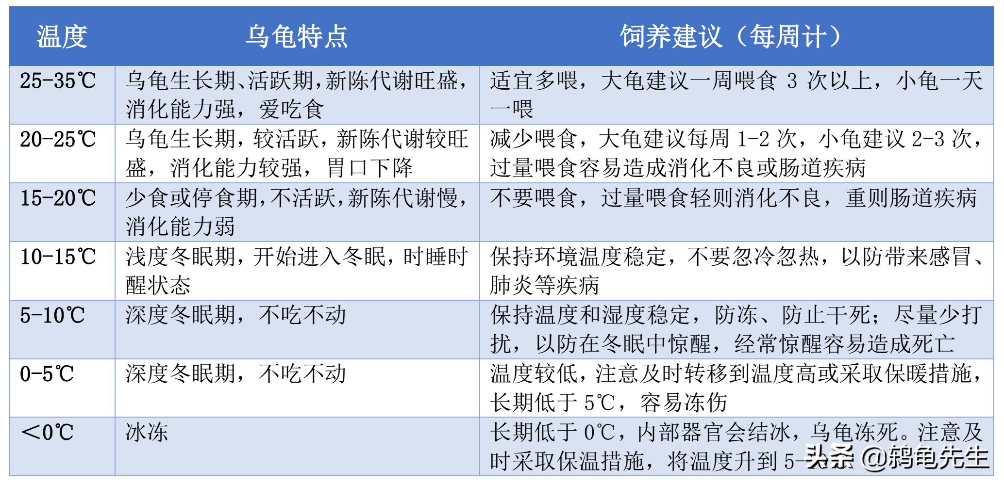 乌龟冬天不加温怎么养,乌龟各种温度下的饲养方法