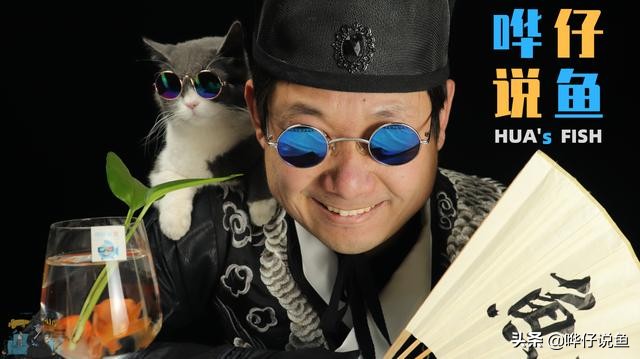 河里抓的河蚌能放到龟缸里吗,河蚌可以放鱼缸里跟鱼一起养吗