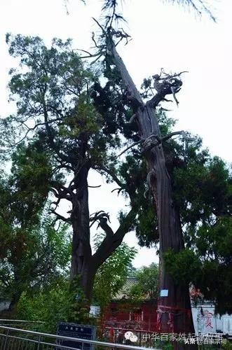 瀛欐皬瀹楃钀芥垚澶у吀,瀛欐皬瀹舵棌瀹楃钀芥垚浜哄北浜烘捣