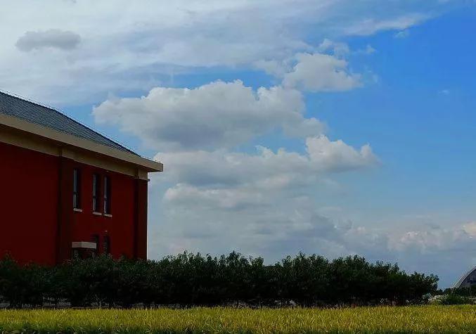 南开大学滨海学院天津排名,天津曾经的滨海学院