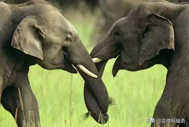 今天是6.4,夫妻日,百年一遇的吉祥日子,送给天下所有的夫妻