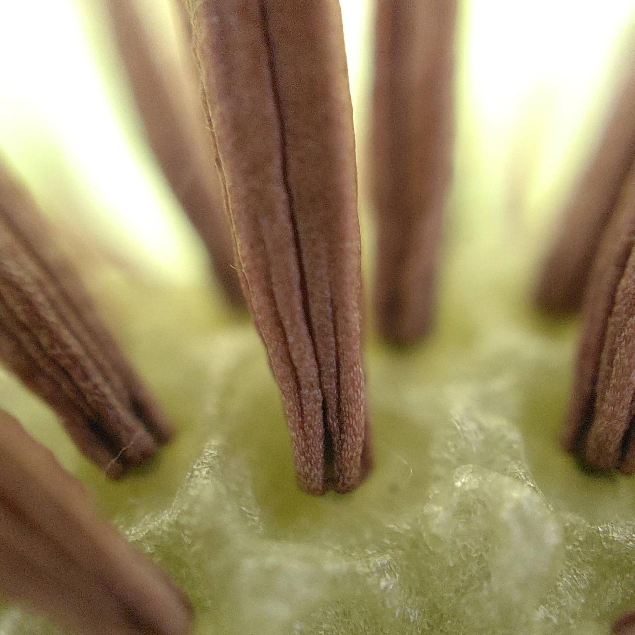 电竞专业打游戏就业前景,打电竞所承受压力