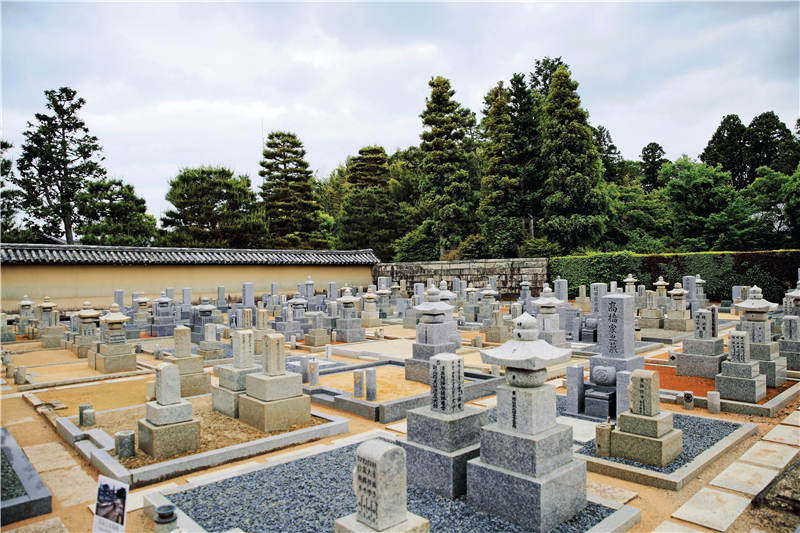 世界所存中国国宝级文物,世界仅存的三处古迹