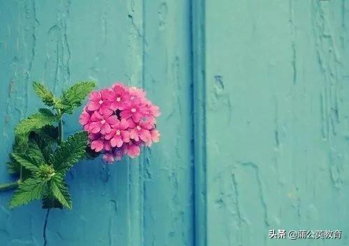 人不讲信用便无法立于天地,人无信用难立足