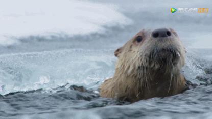 被吹爆的神片,被吹上天的神作