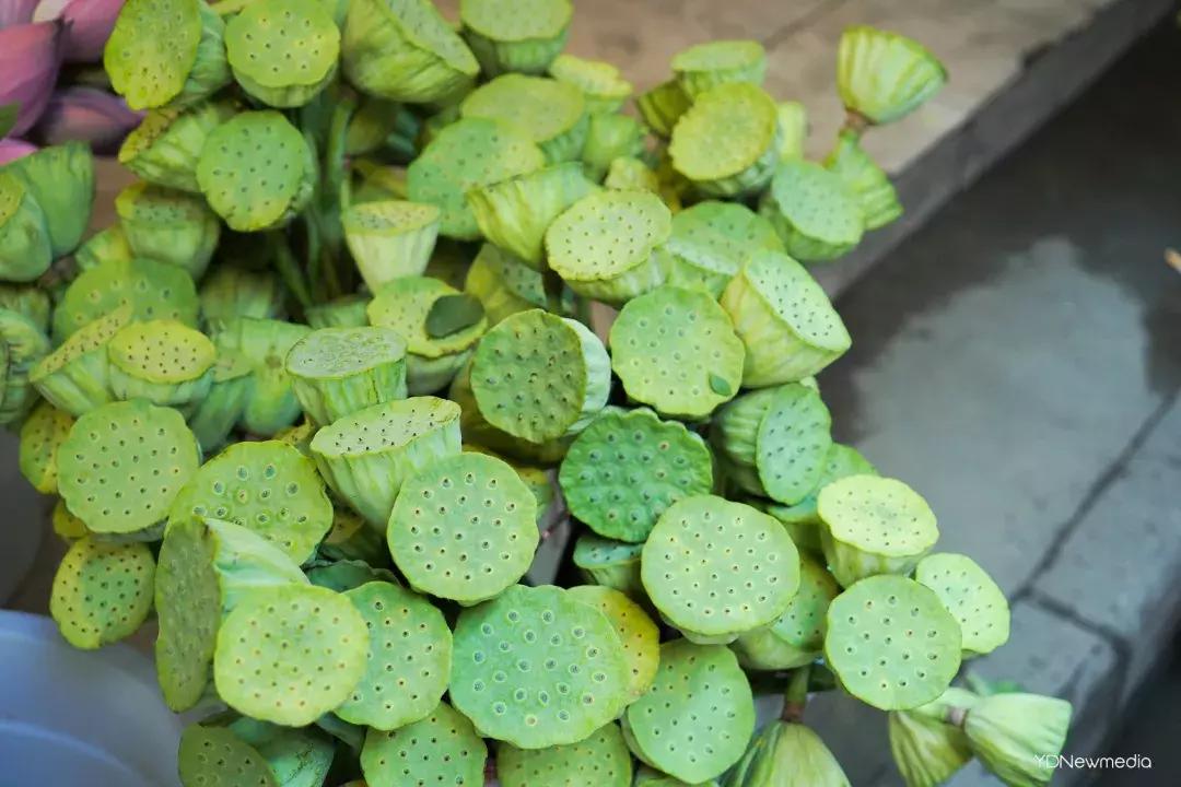 武汉哪个市场鲜花最便宜,武汉最便宜的鲜花批发市场