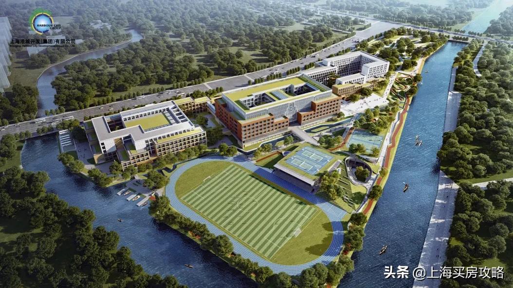 杨超越临港落户,锦鲤杨超越