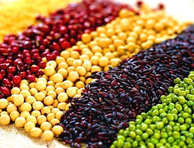 蔬菜发芽还能吃吗,蔬菜发芽了还能买吗