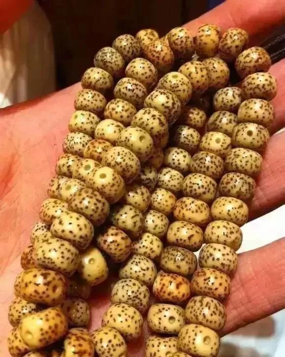 星月挂瓷了还能抛光吗,挂瓷星月样子