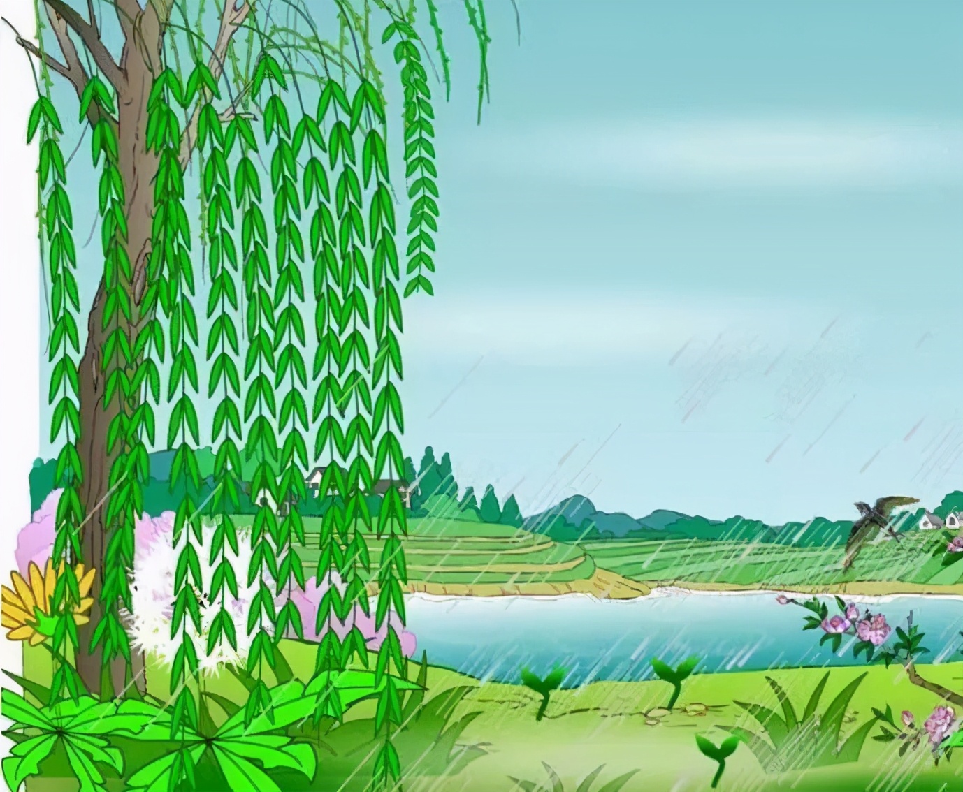 二年级下册春天柳树燕子看图写话,春天小燕子和妈妈二年级看图写话