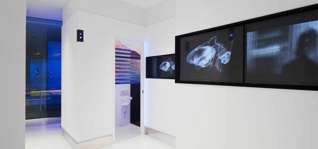 奇葩式厕所设计,最实用的厕所设计