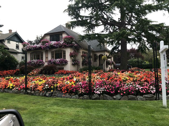 外国网友分享的风景,国外网友分享的风景