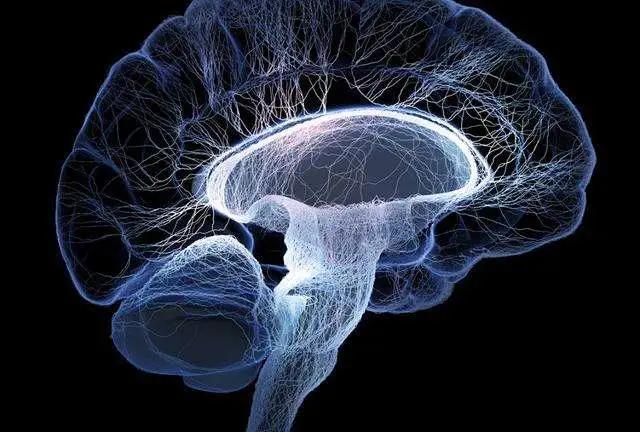 有效！二战时空军最有效“快速入眠”方法！一起拯救高中失眠