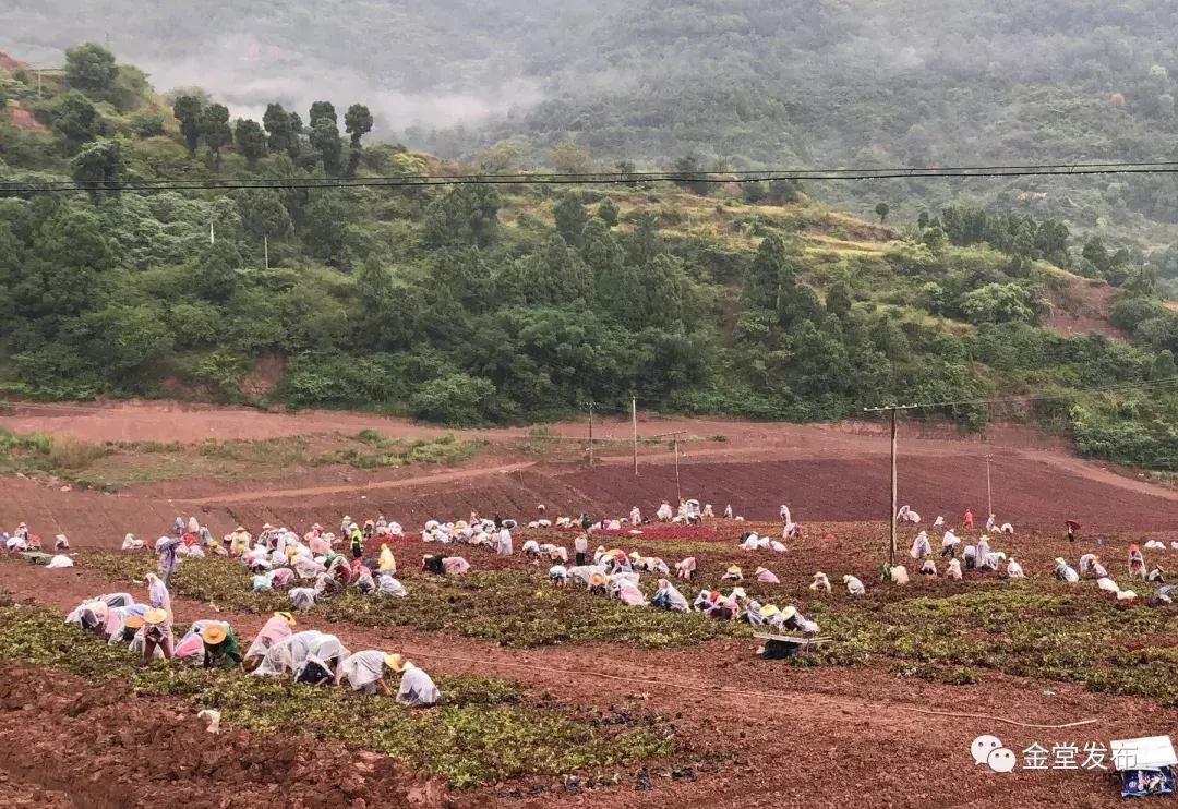 震撼500平巨幅国旗,巨型五星红旗升起