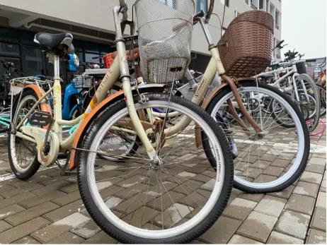 泰州学院和贵州师范大学,四十六所高校