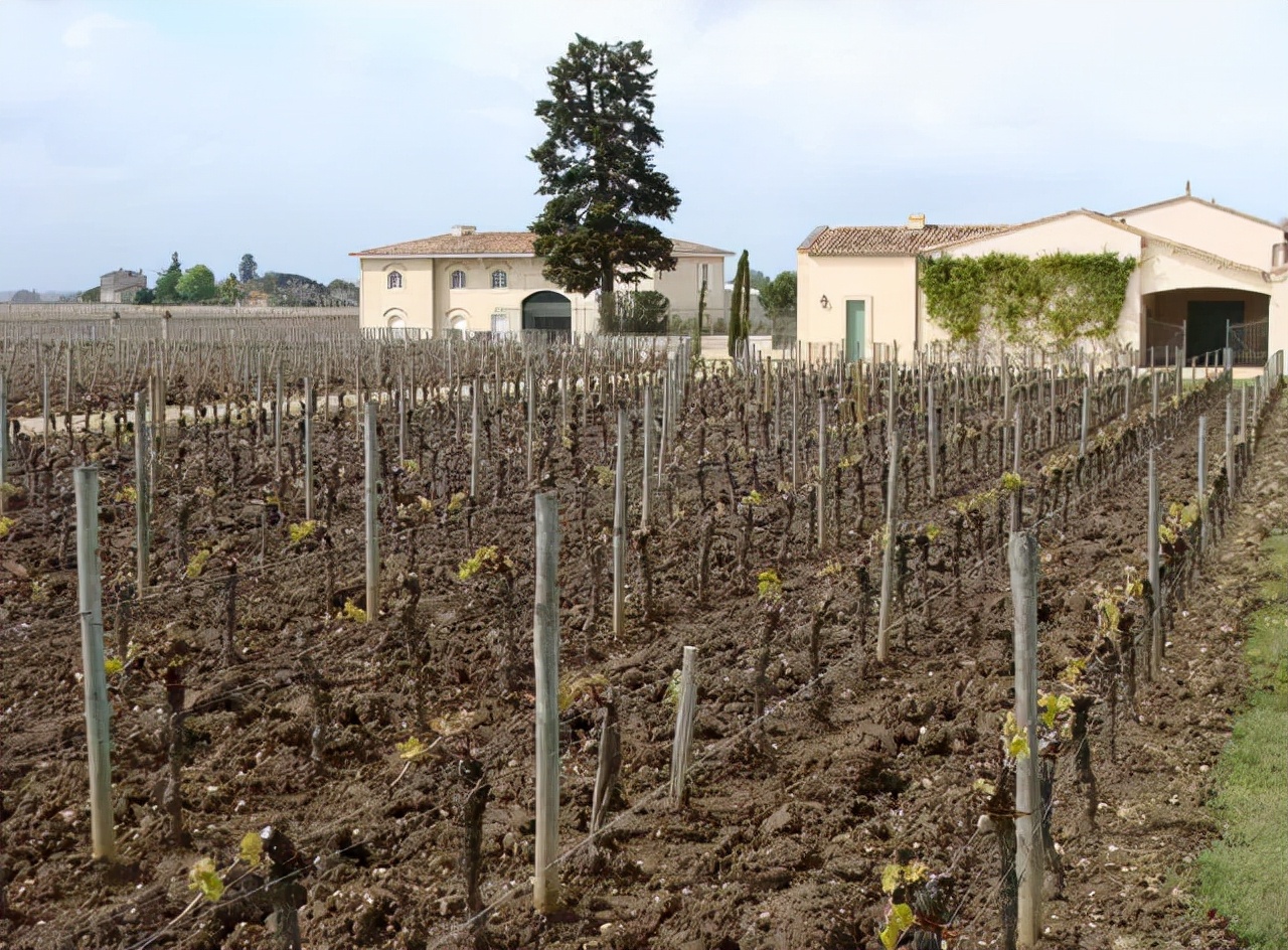 波尔多算十大红酒品牌吗,波尔多最好酒庄