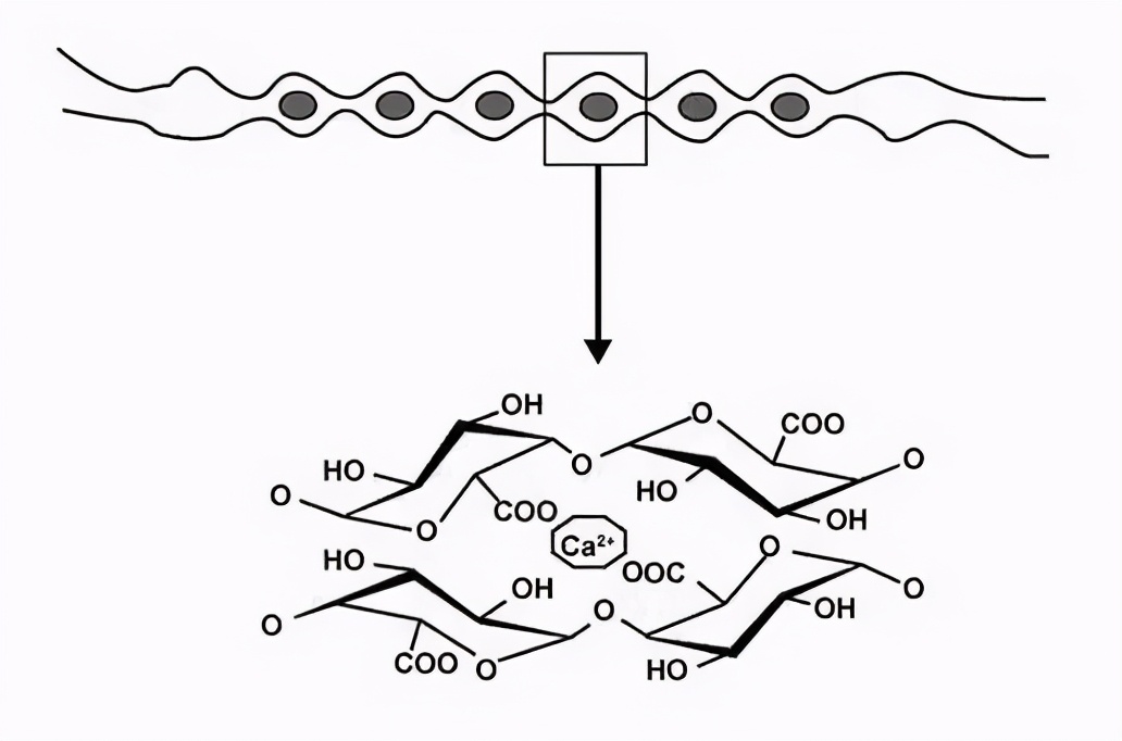 手搓冰粉一碗份量,怎么搓的冰粉颜色白