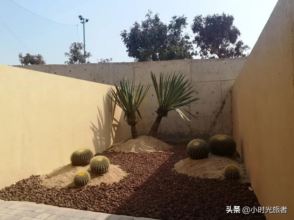 惠州博罗藏了一个顶级野奢酒店，不用出国就能体验非洲风情，赞