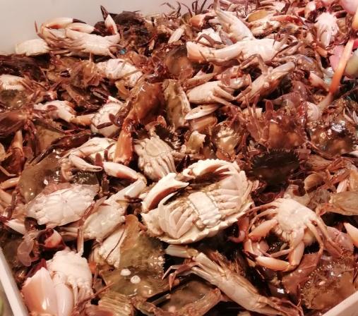 买螃蟹别瞎拿,牢记5个妙招,买的螃蟹个个膏满肉肥,不花冤枉钱