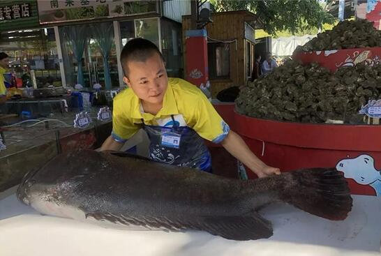 三亚最大的海鲜展会,三亚万人火车头海鲜广场现场