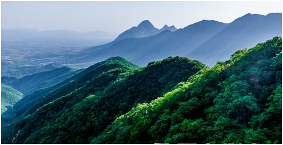 少林功夫发展,揭秘中国少林功夫