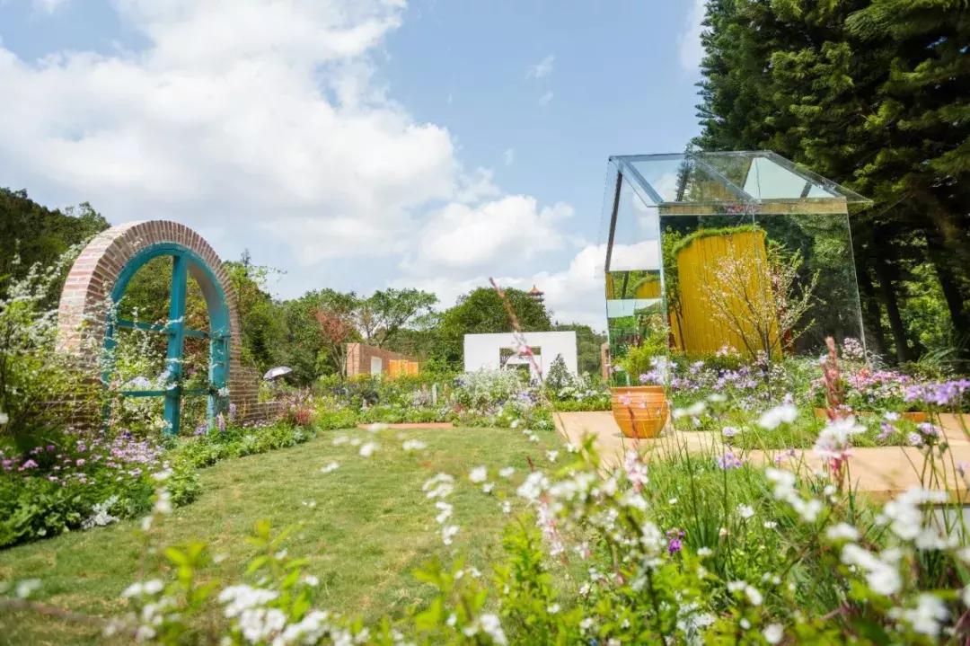 未来10天预警,深圳最最最最火的地方在这里,美女都赶来打卡