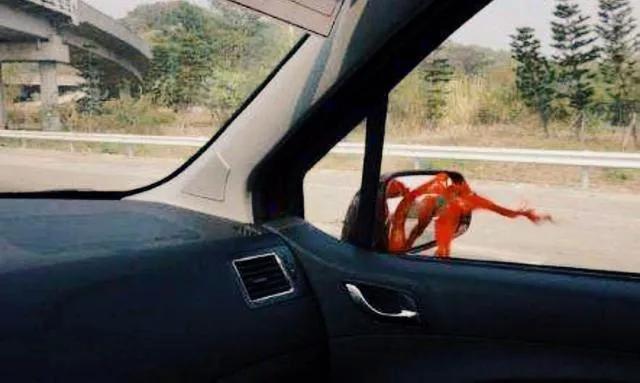 新车轮胎系红布条是什么意思,新车要绑红带在什么部位