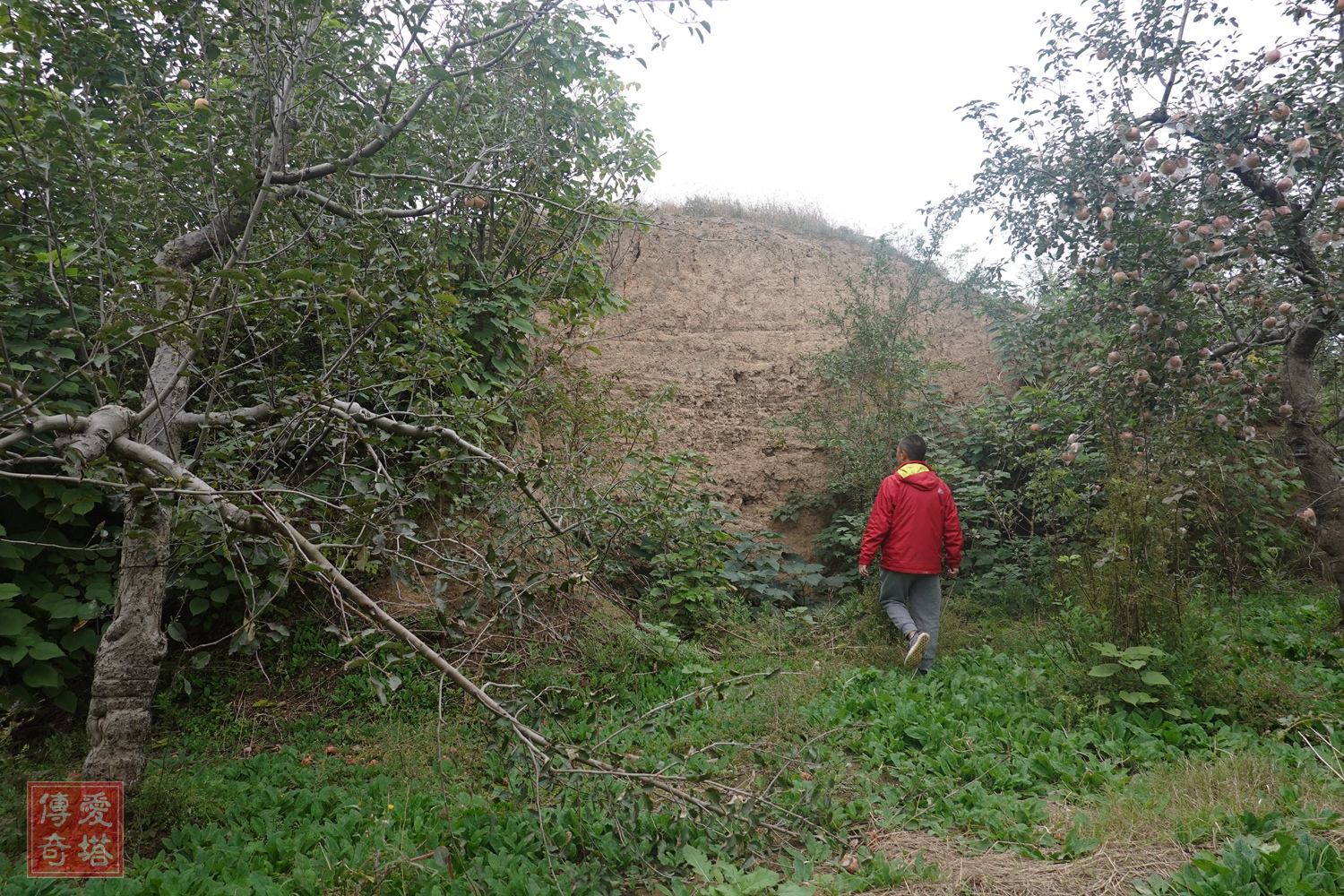 2020年经典电视剧有哪些,2020年将要播出的电视剧有哪些