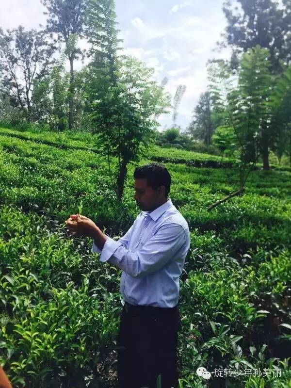 记录了在斯里兰卡美好的回忆,斯里兰卡之旅留下的美好回忆