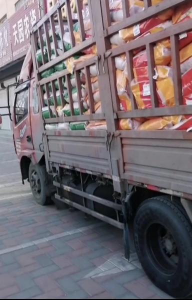 爱自由爱运输赵国永与多利卡飞驰在路上