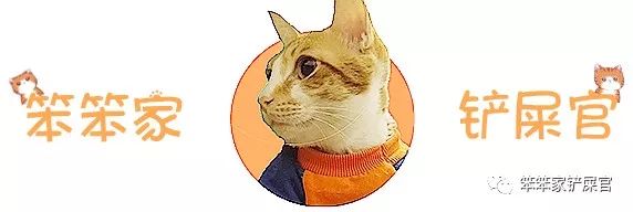 猫咪眼睛细菌感染的原因,猫咪身上有好多寄生虫不敢摸