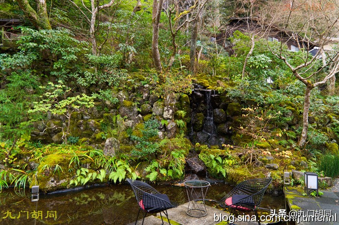 京都岚山风景区在哪,京都岚山樱花