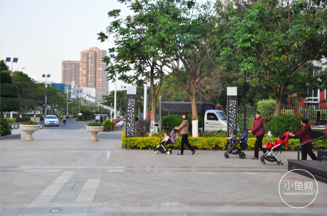 鬼城or未来可期？我们走进漳州港，发现“接盘侠”的各种悲喜交加