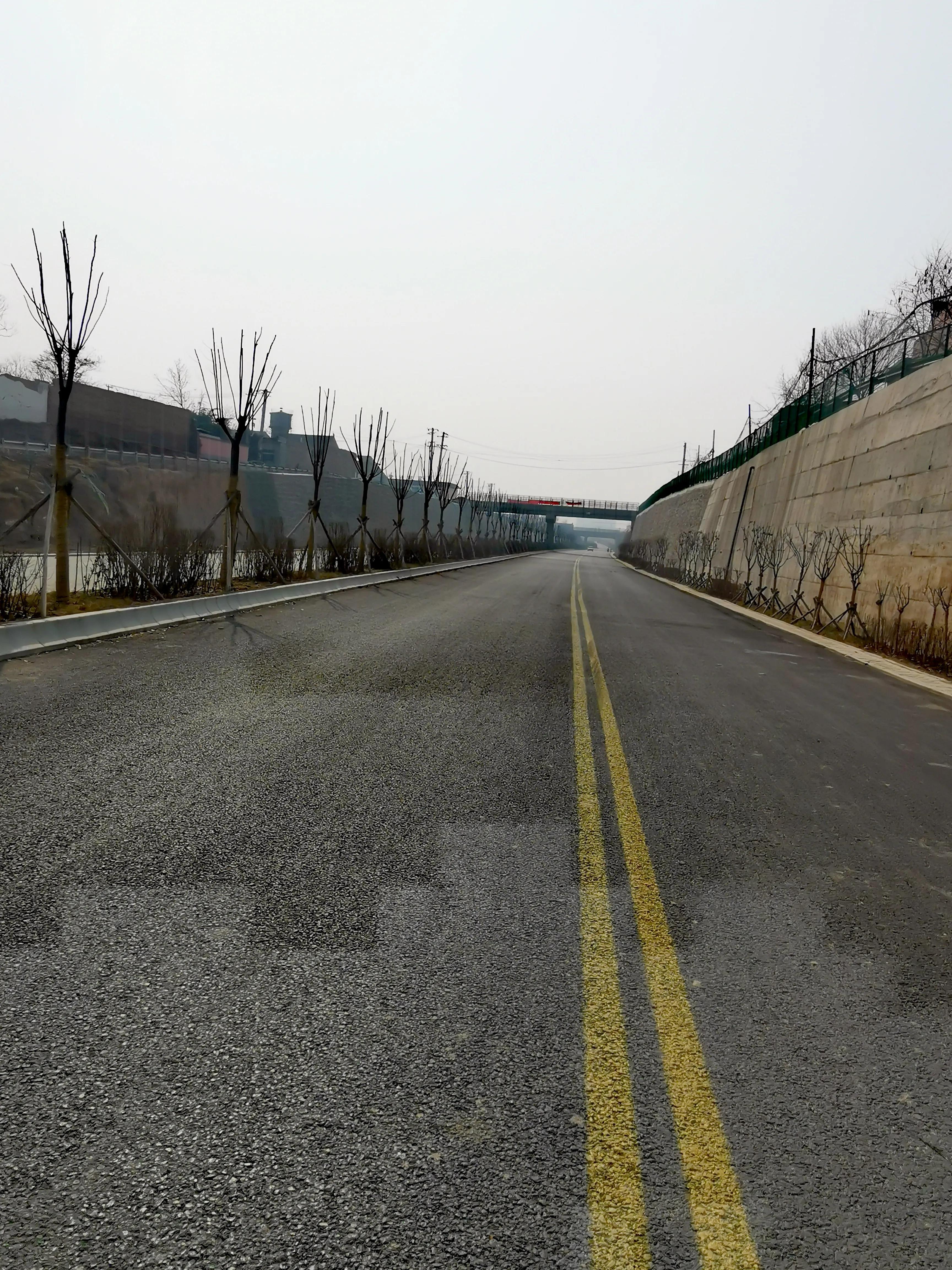 大年初一逛栎阳湖湿地公园,柳色遥看近吐绿,春归石川河!