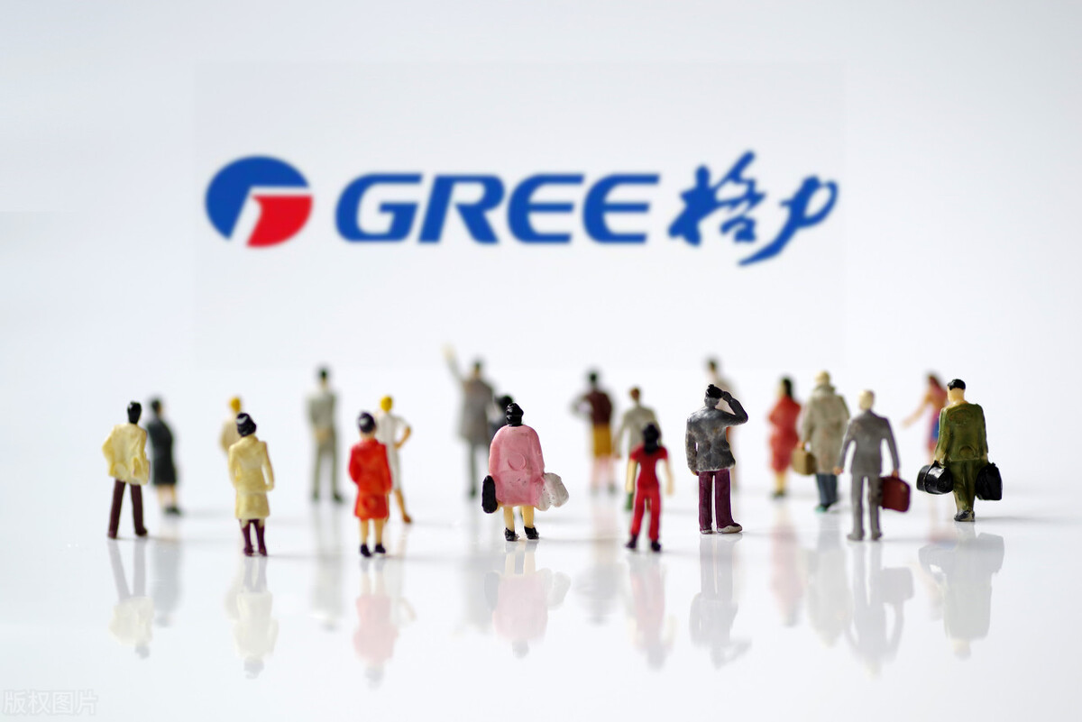 董明珠谈买股票,董明珠1万块钱买股票