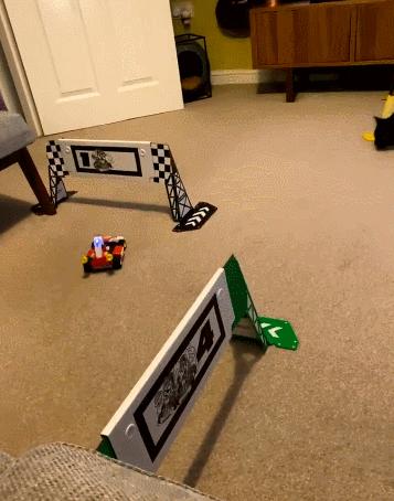 玩《马力欧卡丁车实况：家庭赛车场》前，你问过你家猫咪了吗？