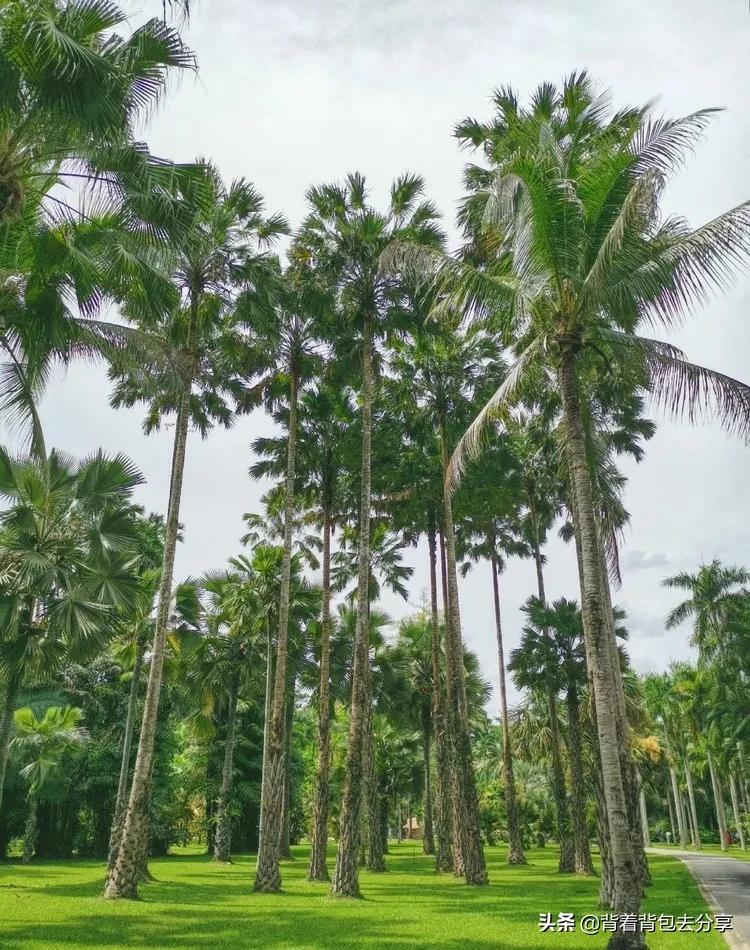 云南旅游必去12个景点有哪些,云南最好100个旅游景点