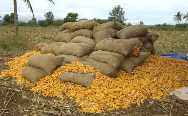 小超市卖瓶洗衣液利润在多少,小伙做洗衣液生意一天赚1600