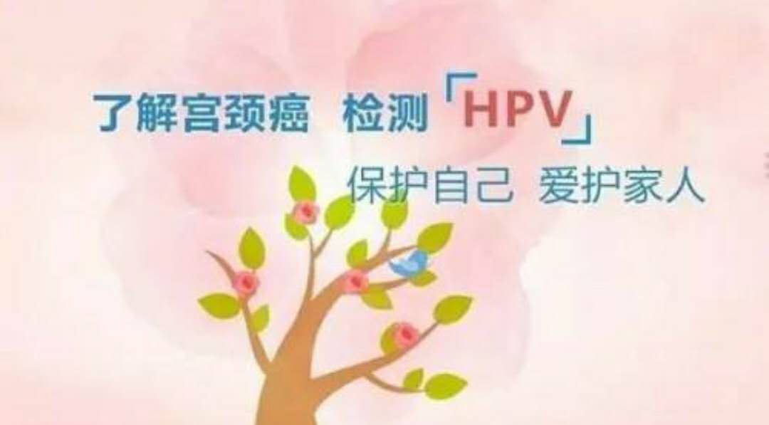 80%女性一生中可能感染hpv,hpv病毒从感染到发病时间