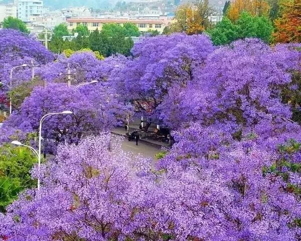 四川藏着一个静谧古城,四川被忽略的古城